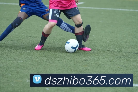 袋鼠直播官网APP 封面图