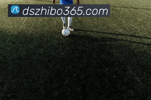 奖项2